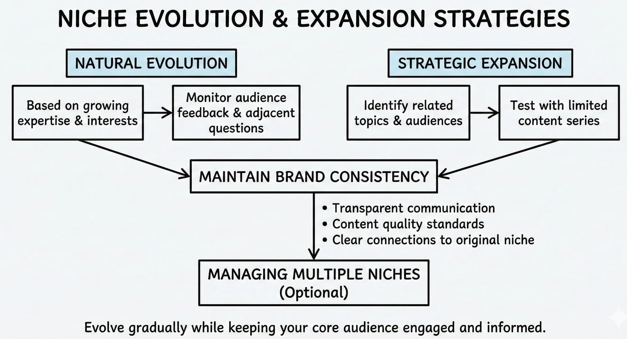 How to Choose Your Content Creator Niche - overview