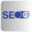 A favicon of SEO45™ AI