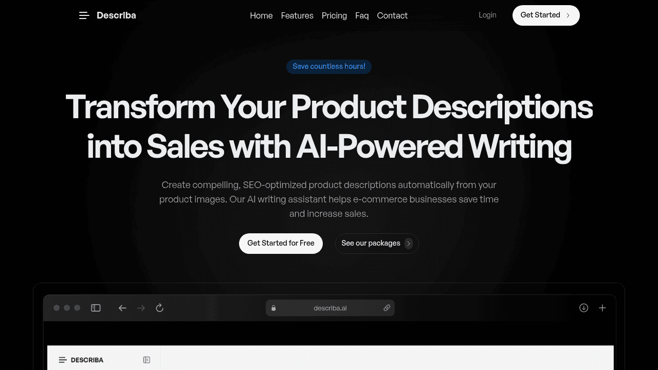 Describa interface screenshot showing main features and user interface