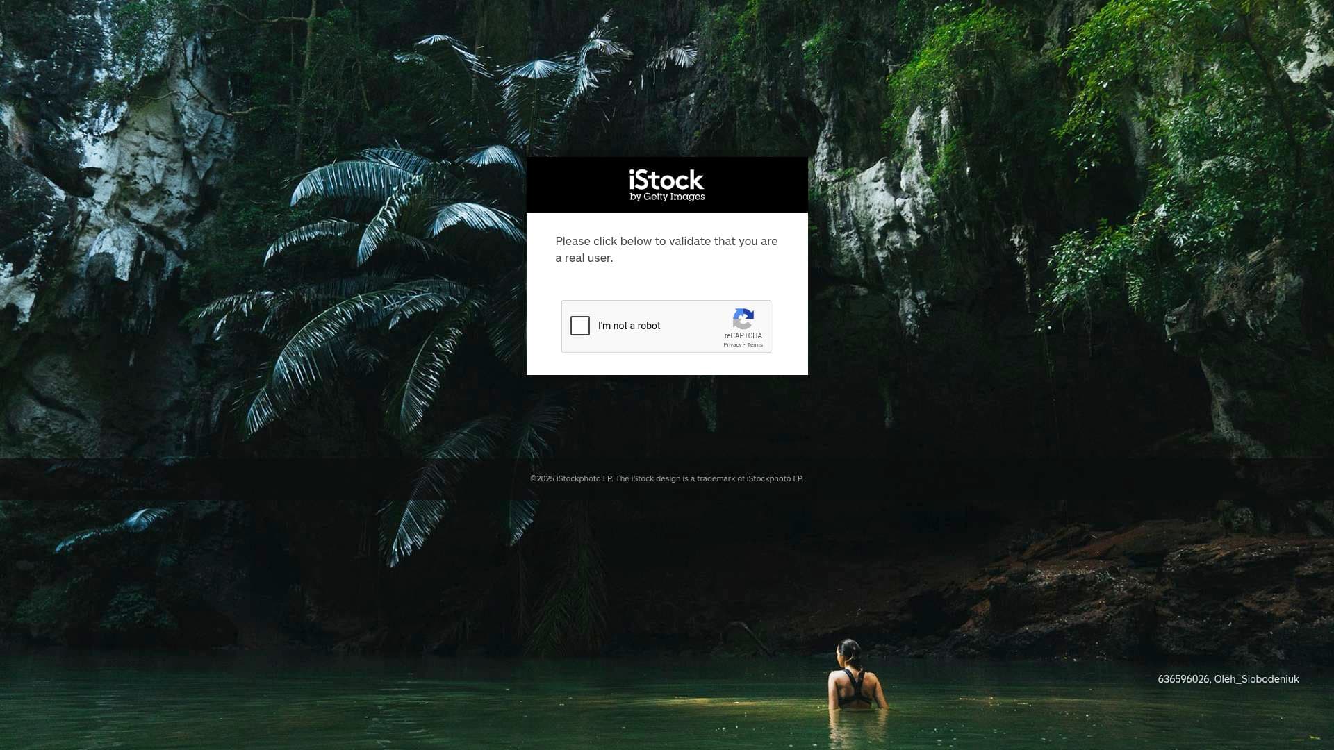 iStockPhoto interface screenshot showing main features and user interface