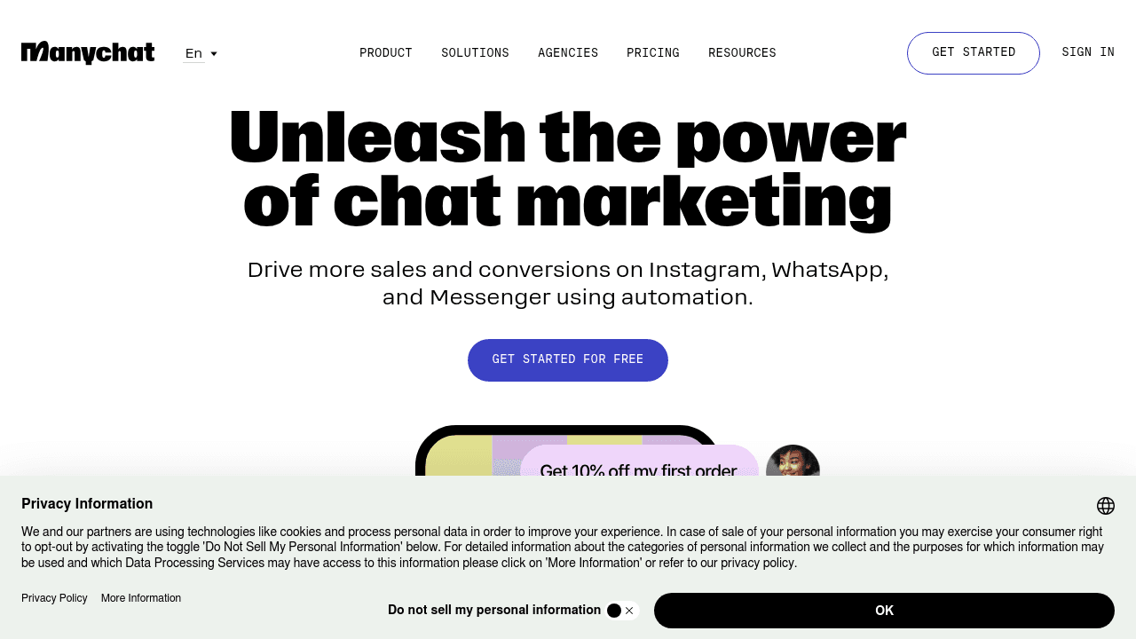 Many Chat interface screenshot showing main features and user interface