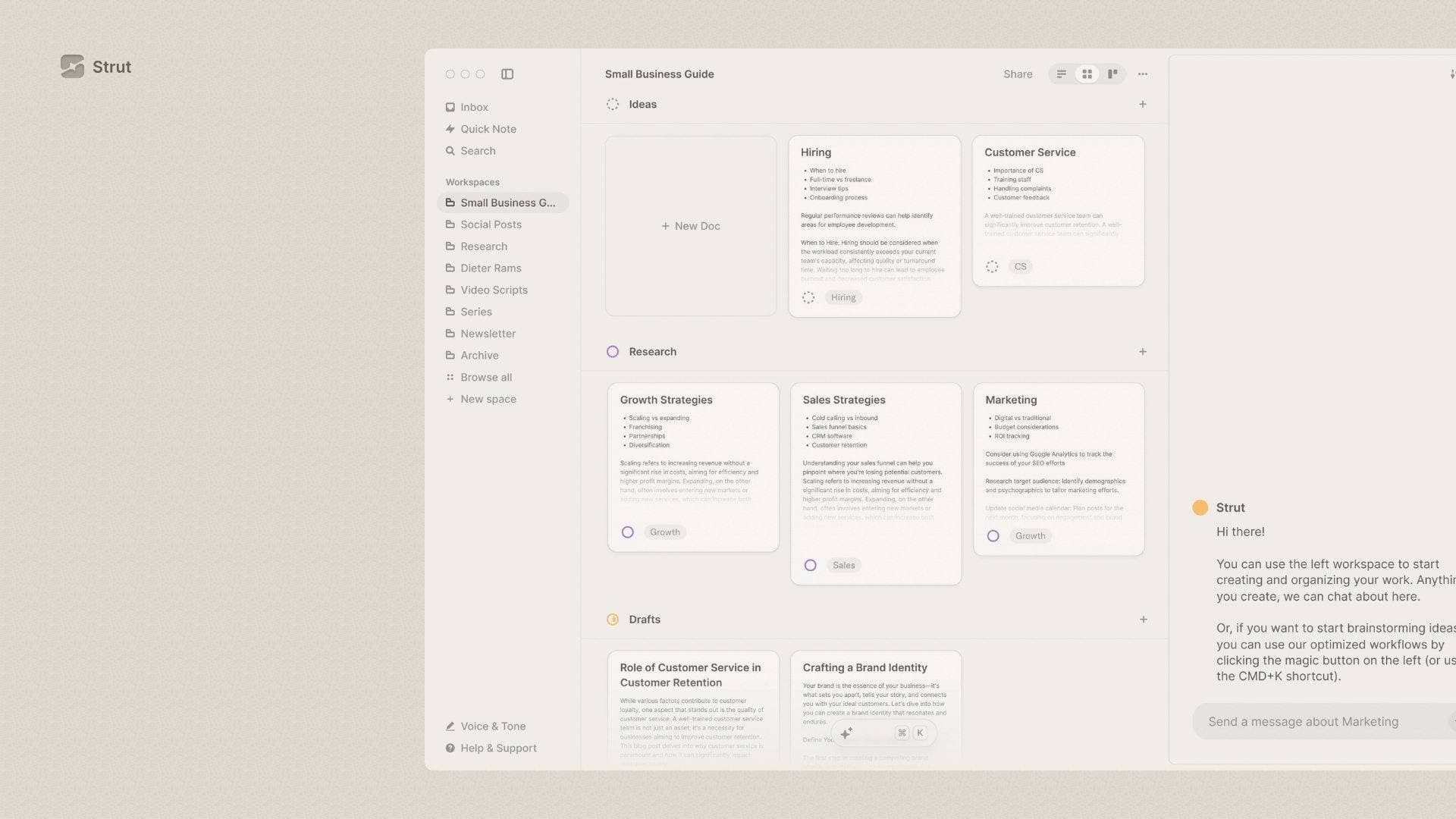 Strut interface screenshot showing main features and user interface