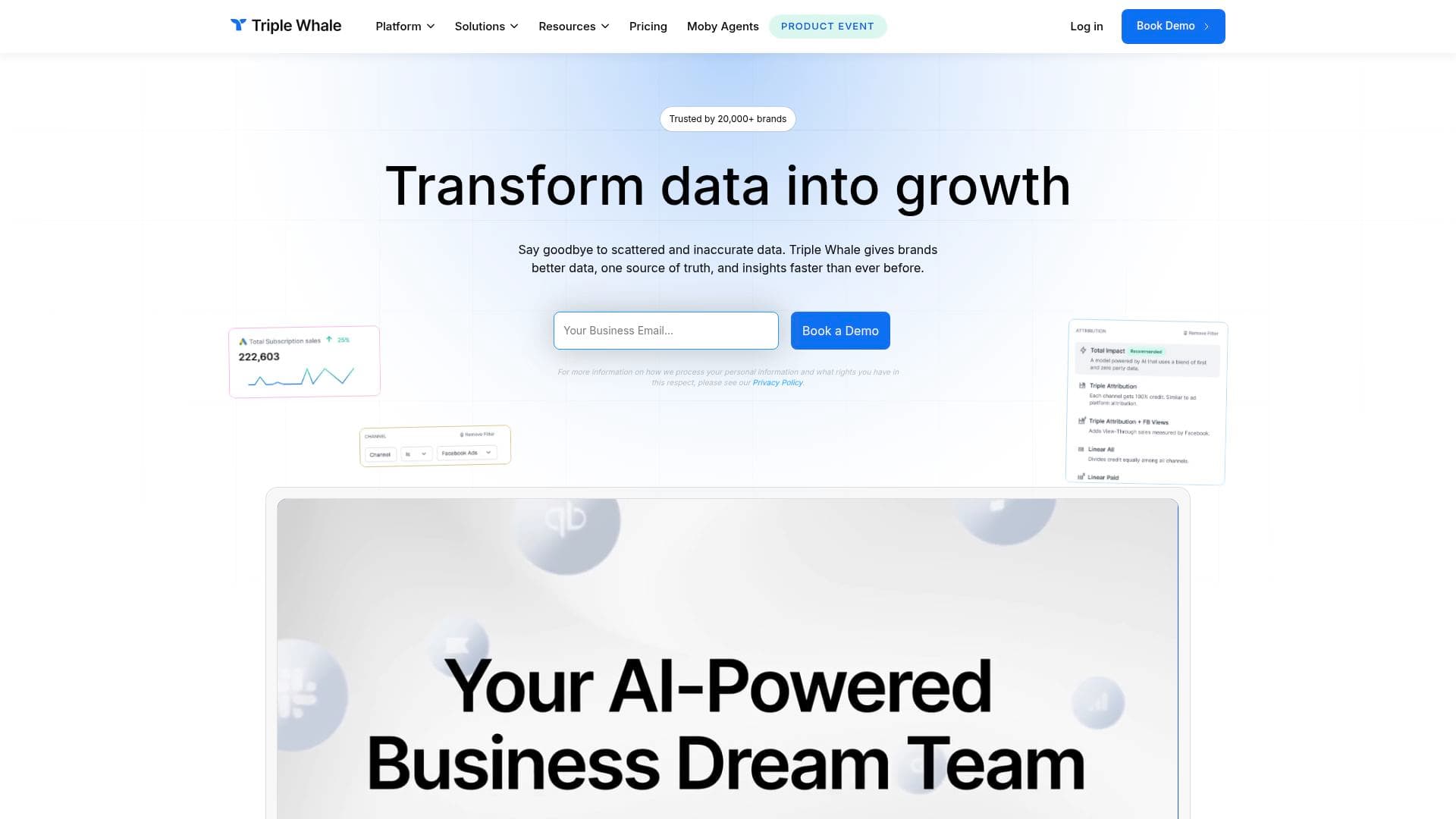 Triple Whale interface screenshot showing main features and user interface
