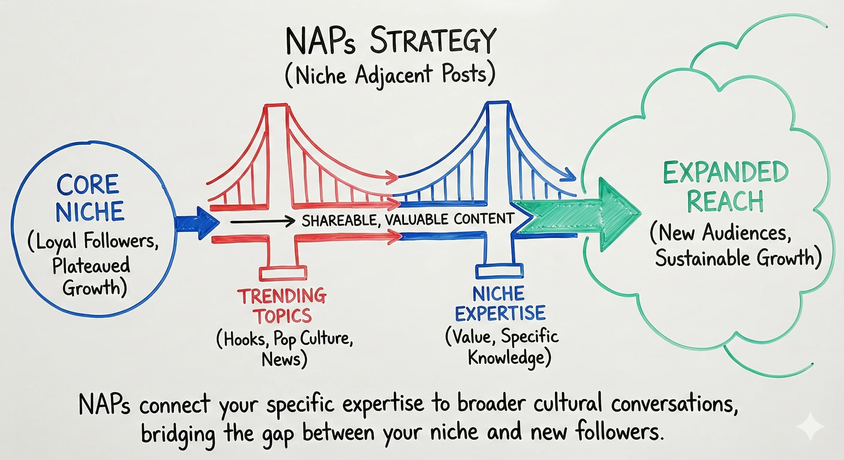 NAPs Strategy: How Niche Influencers Can Expand Their Reach - Featured blog post image