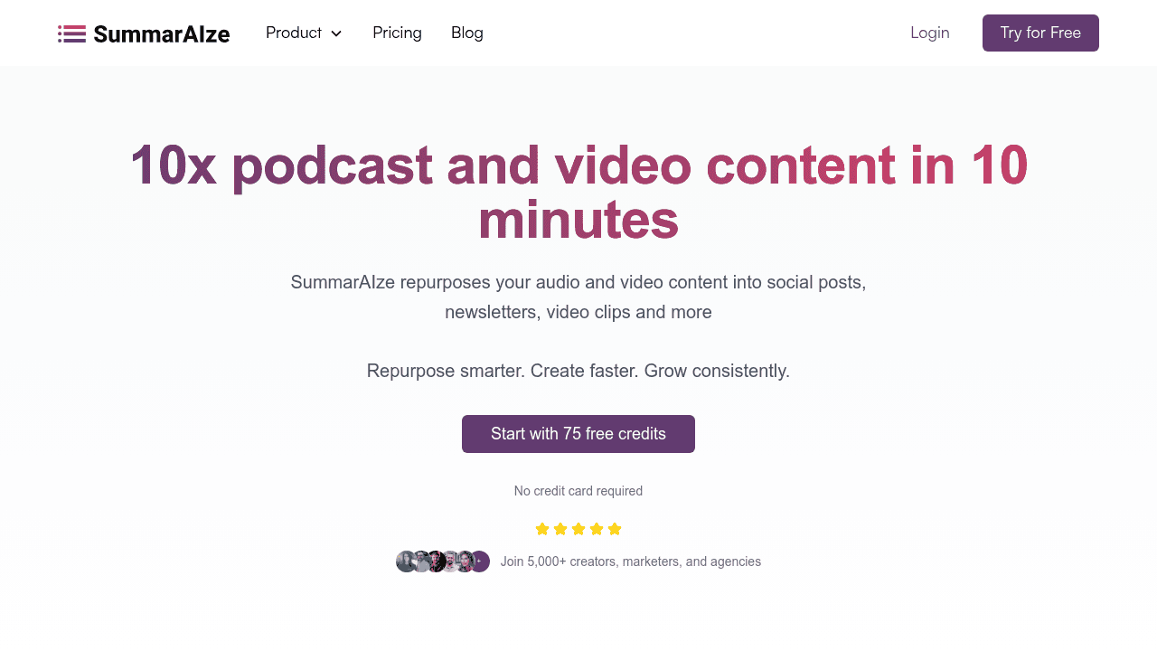 SummarAIze interface screenshot showing main features and user interface